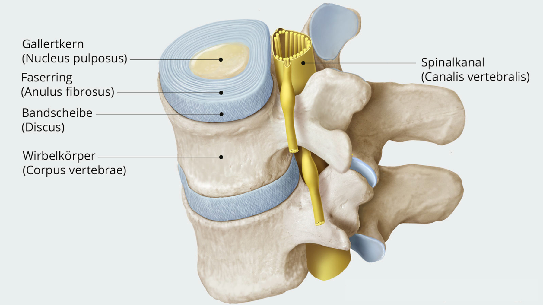 Quelle: Inselspital Neurochirurgie