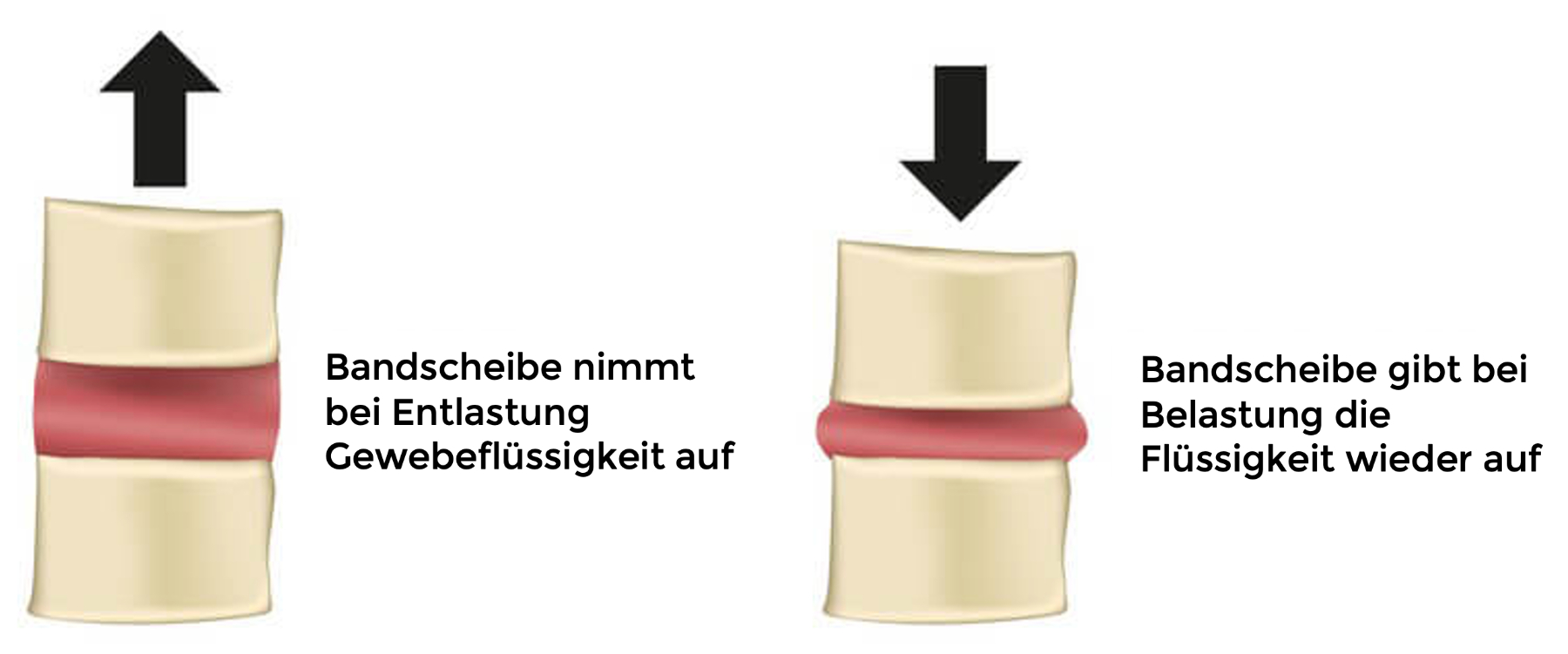 Quelle: Paradisi