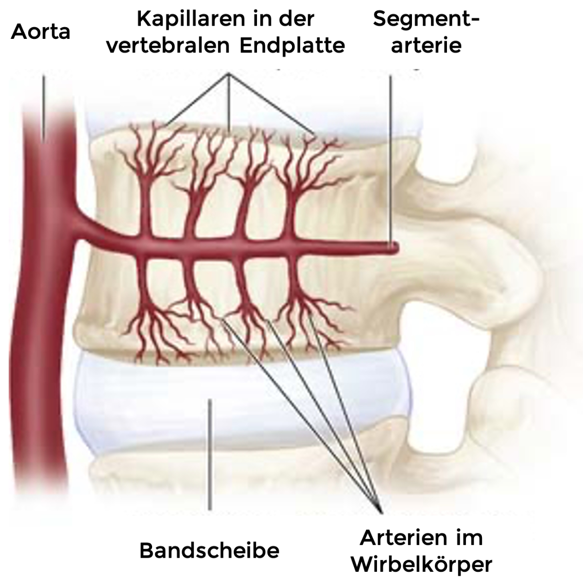 Quelle: Clinicalgate