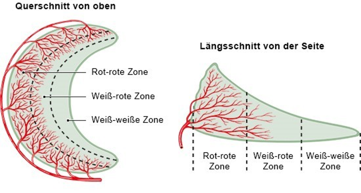 Quelle: Gesundheitsinformation