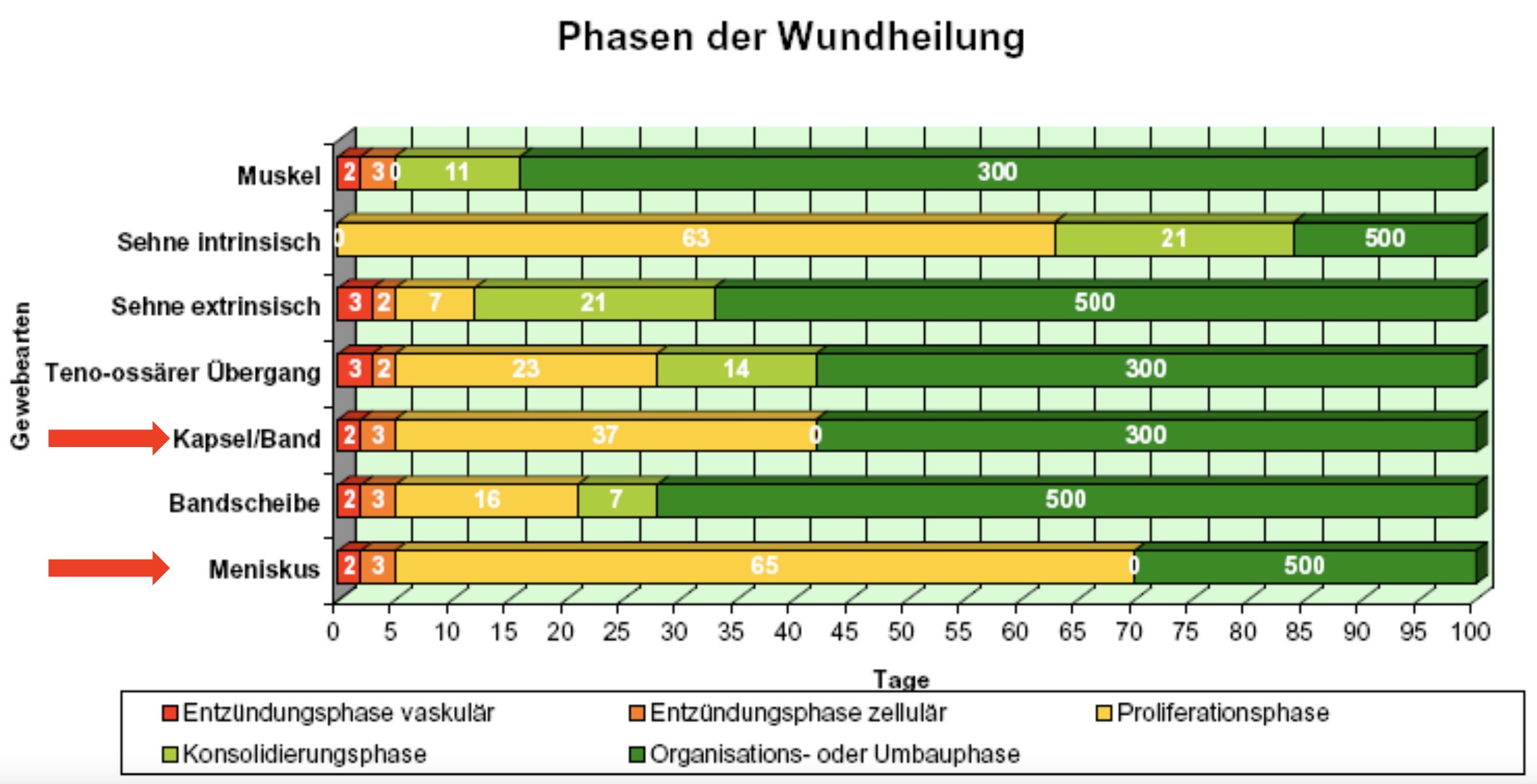 Quelle: Universitätsklinik Balgrist