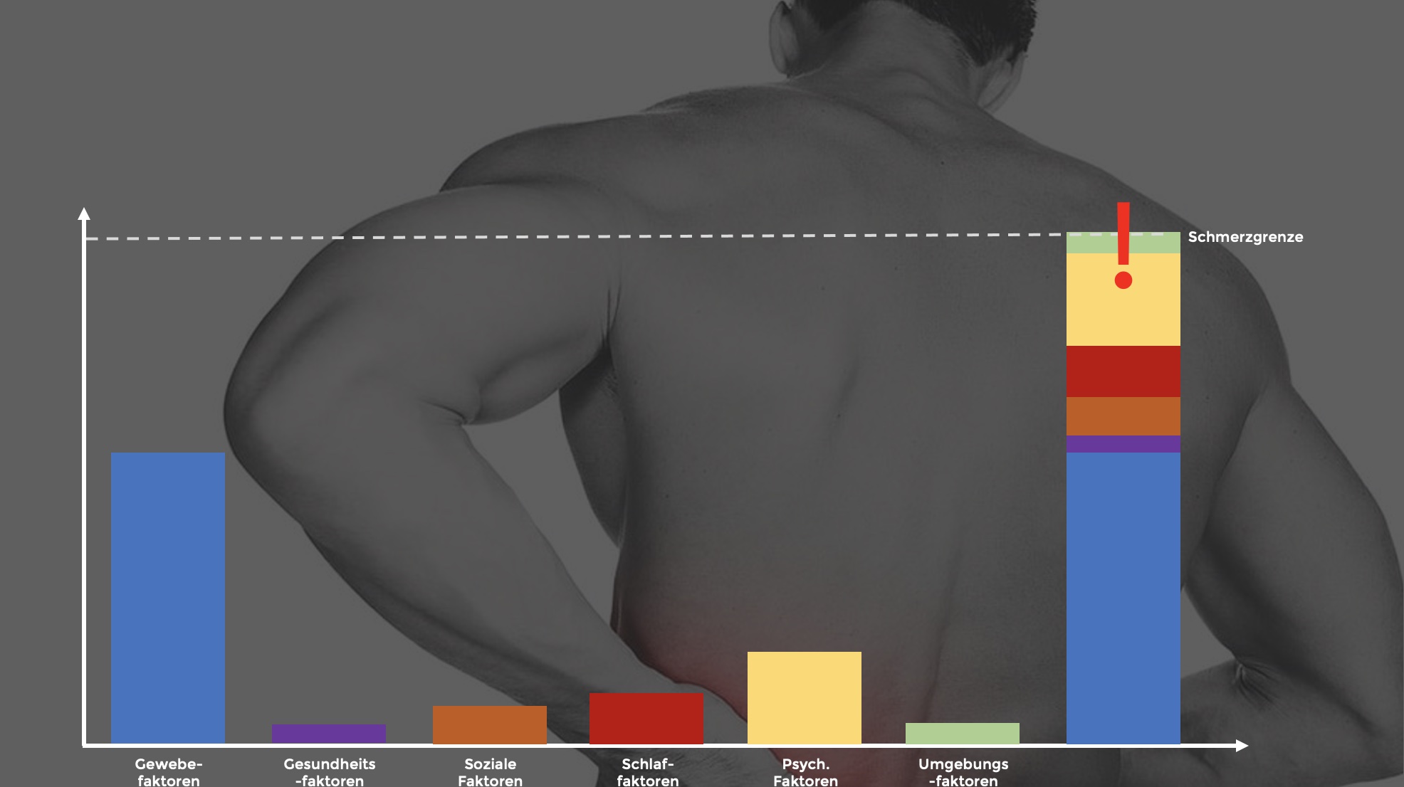 Übersicht schmerzauslösende Faktoren1