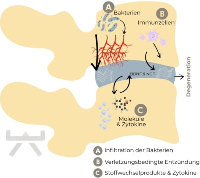 Abbildungen_Blogsystematiken - 7 Quelle: Physio Meets Science