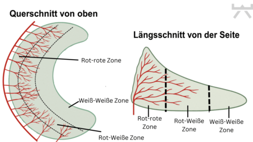 Quelle: Myokraft