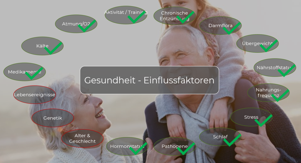 GEsundheit-grafik-ernaehrung