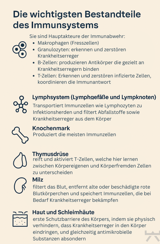 Sie sind Hauptakteure