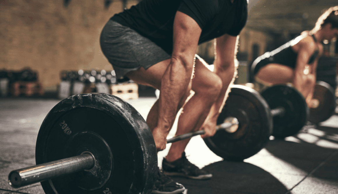 Titelbild Trainingsguide