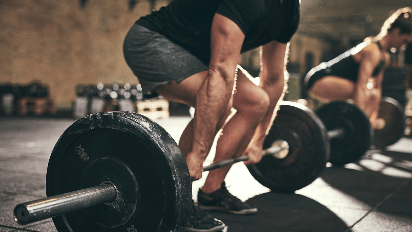 Titelbild Trainingsguide