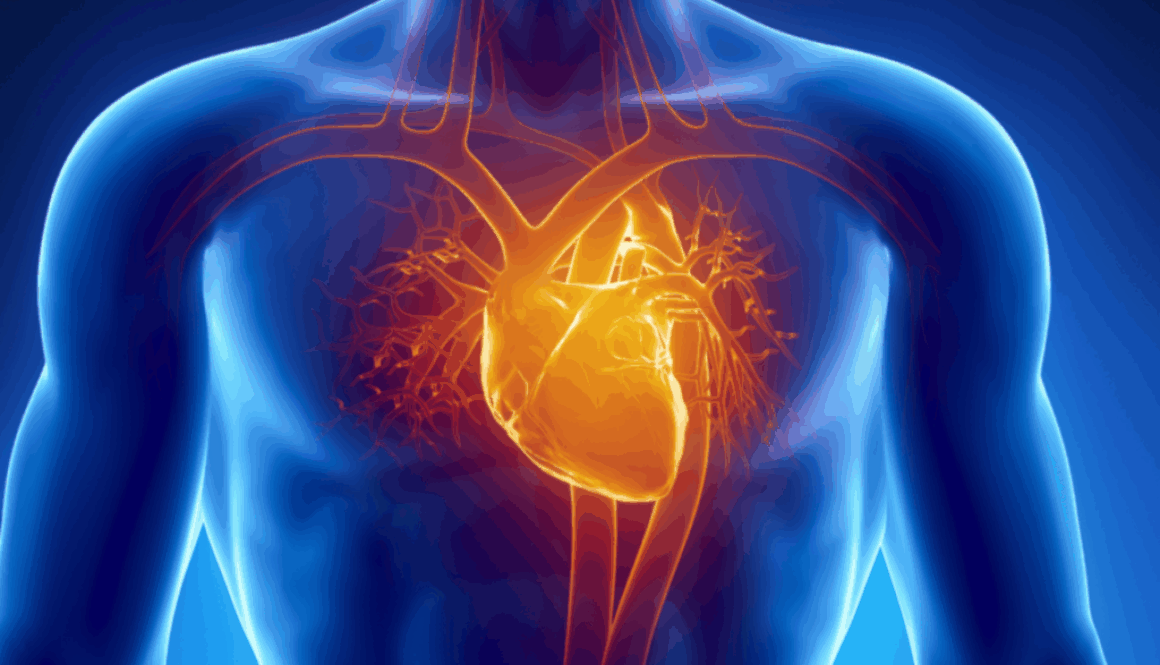 herzerkrankungen Titelbild