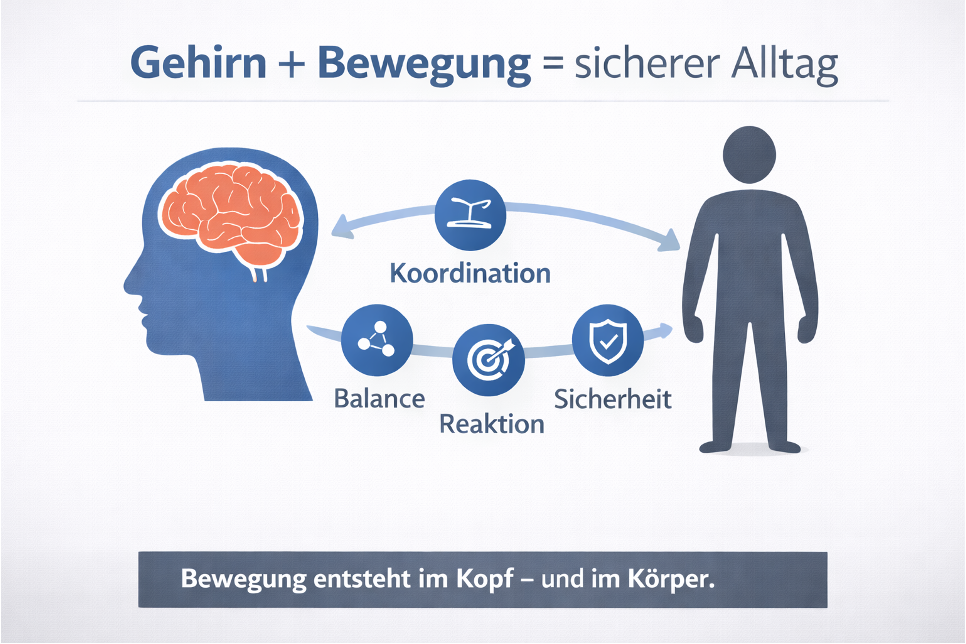 Gehirn + Bewegung = sicherer Alltag